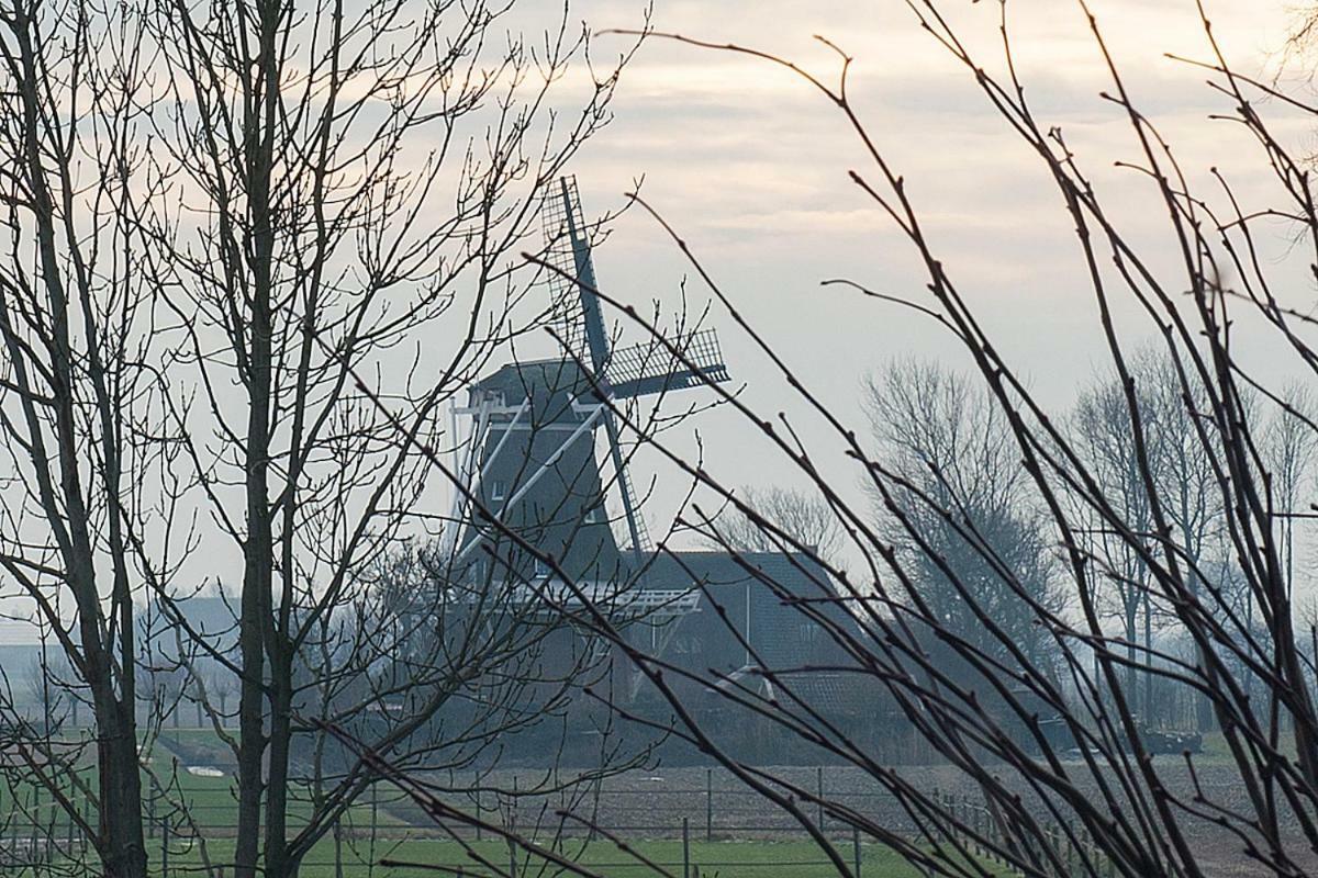 B&B Lauwersstate Paesens Extérieur photo